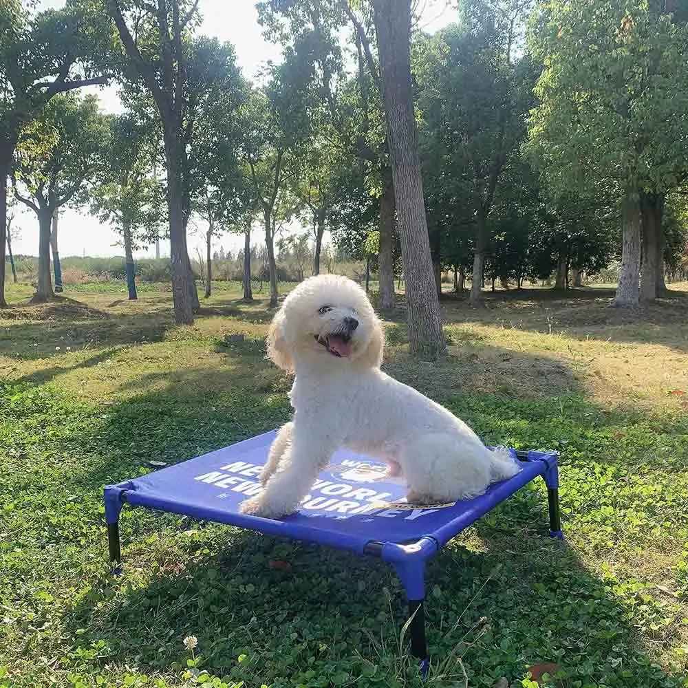 Tempat Tidur Anjing Portabel F - Outdoor Camping Dog Bed ulasan dan harga
