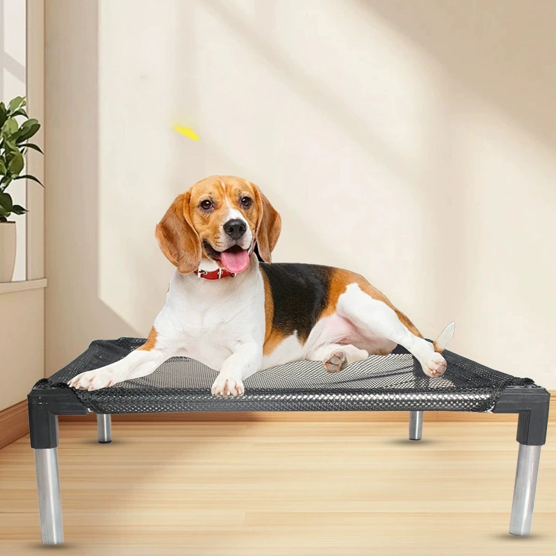 Tempat Tidur Anjing Tinggi Pen - Outdoor Camping Dog Bed ulasan dan harga