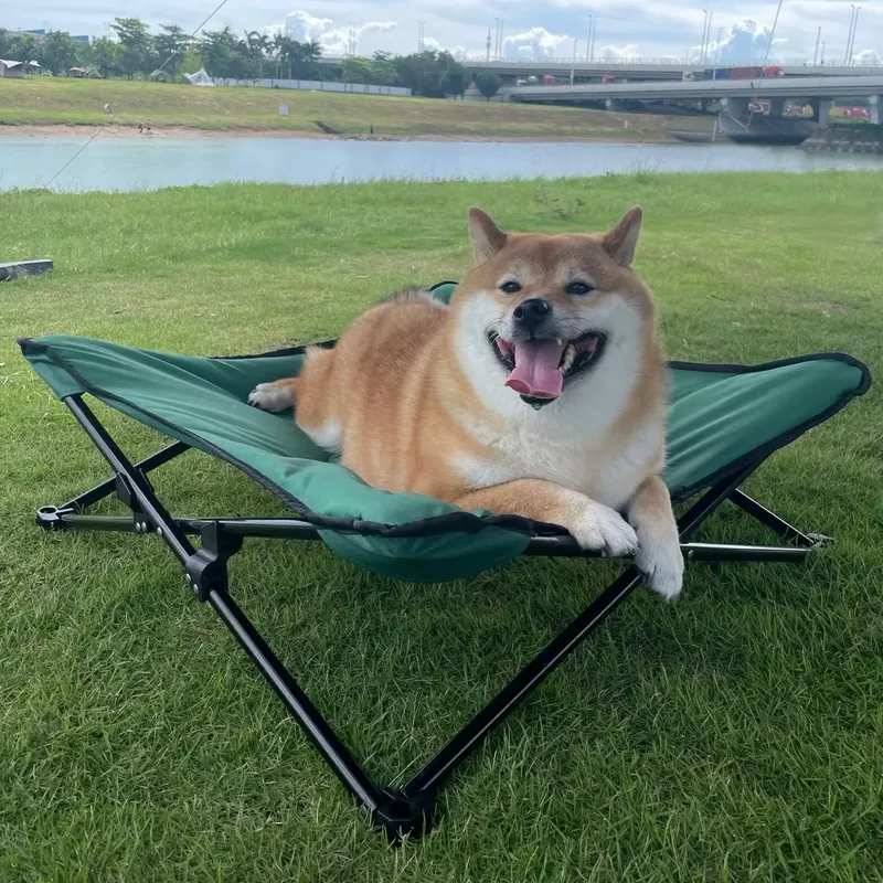 Tempat Tidur Anjing Portabel M - Outdoor Camping Dog Bed ulasan dan harga
